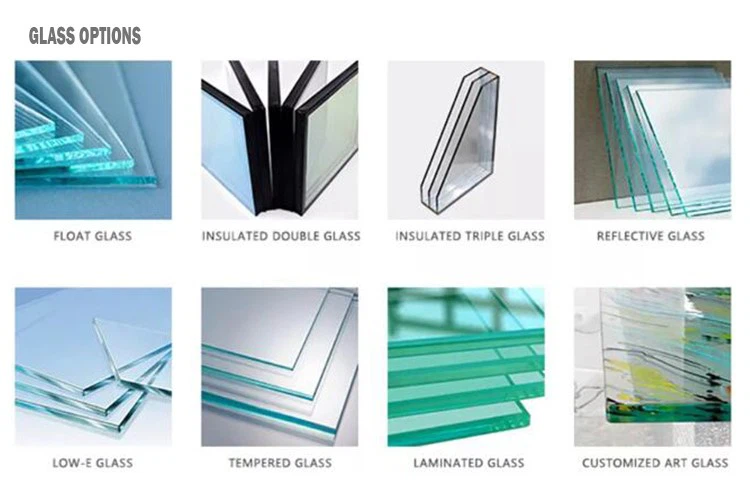 Curtain Wall Door