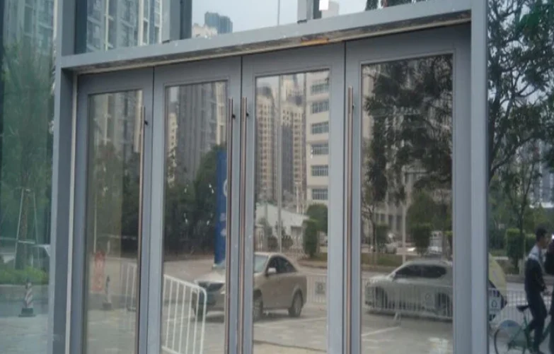 Curtain Wall Door
